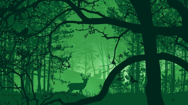 Очень зеленый лес
