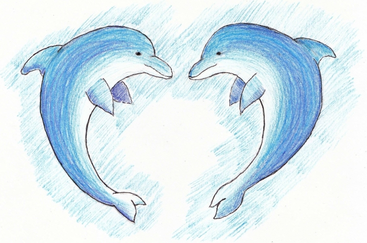 Два дельфина рисунок