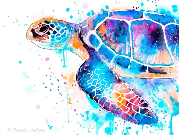 Черепаха рисунок красками