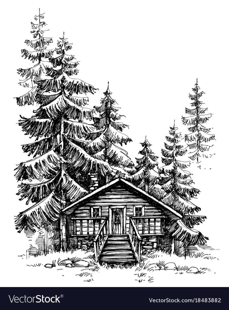 Еловый домик в лесу