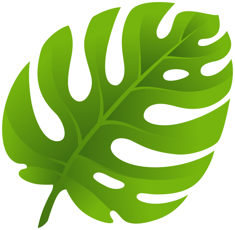 Листья Monstera вектор