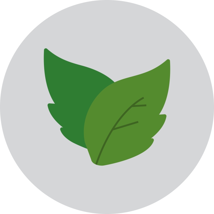 Листик icon