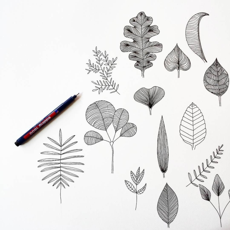 Рисунок листья ручкой
