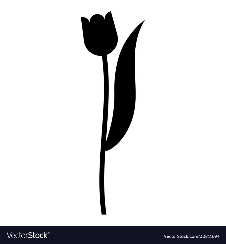 Рисунок черный тюльпан - 63 фото