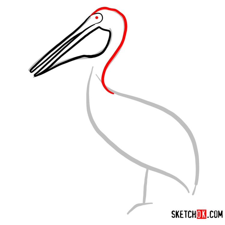 Пеликан легкий рисунок