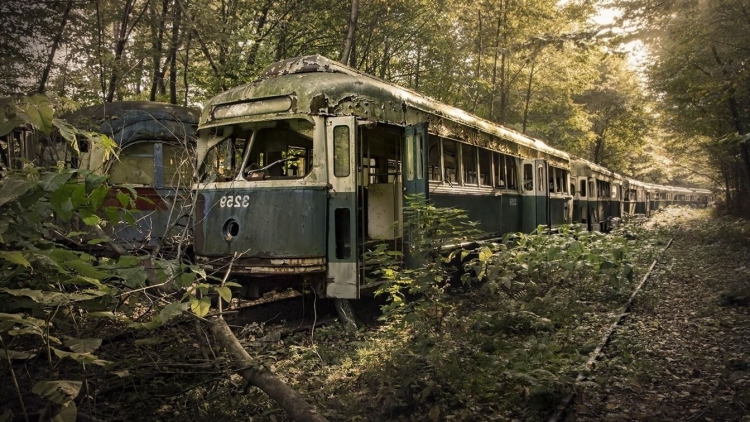 Заброшенный трамвай в лесу