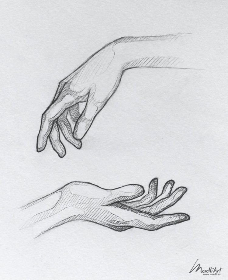 Женская рука рисунок карандашом