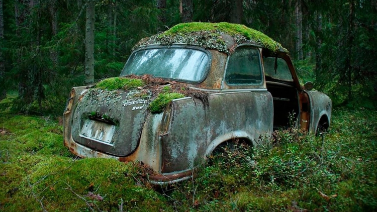 Заброшенные автомобили в лесу