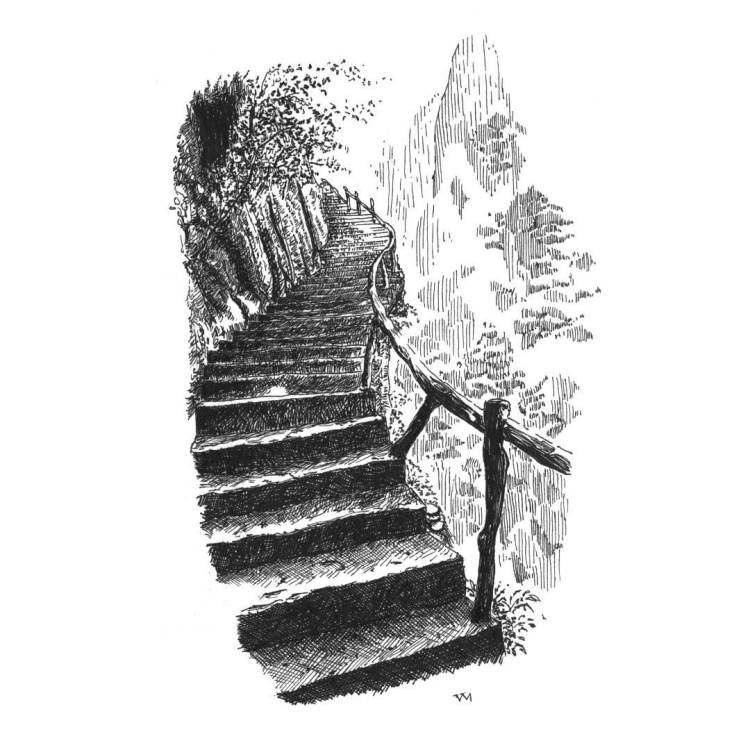 Лестница среди леса