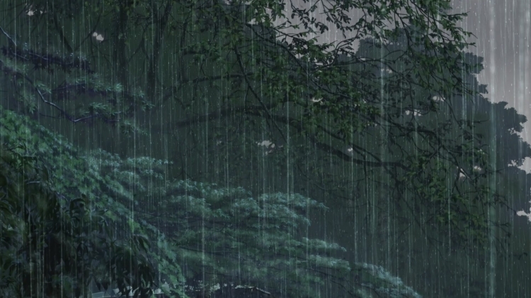 Эстетика дождя ночью в лесу