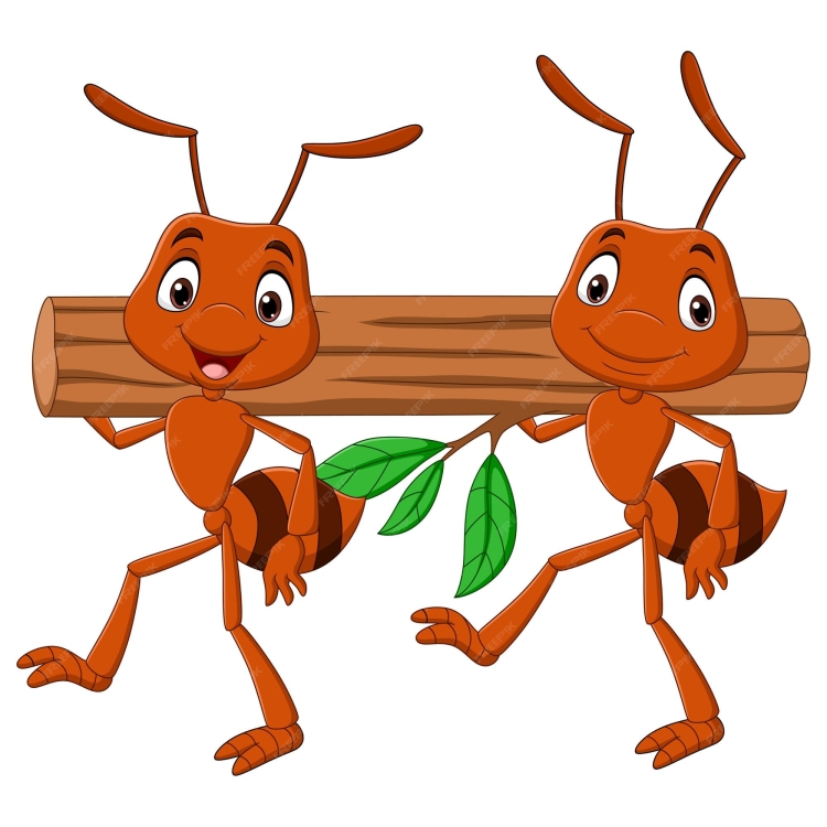 Красные муравьи в лесу