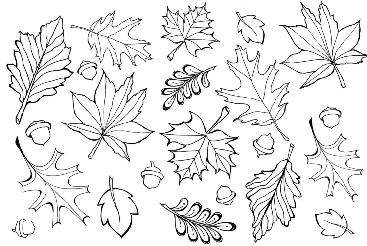 Маленькие шаблоны осенних листьев