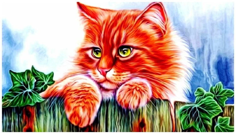 Рыжий кот в лесу