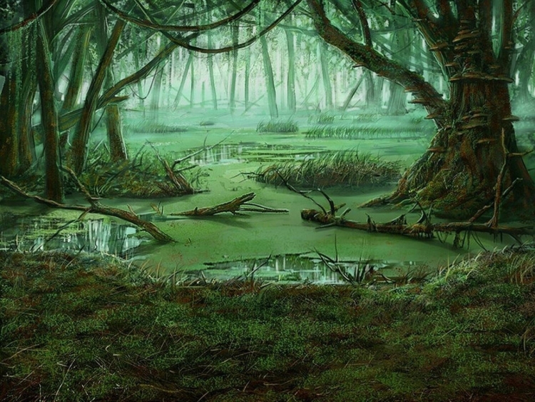 Ночь лес болото
