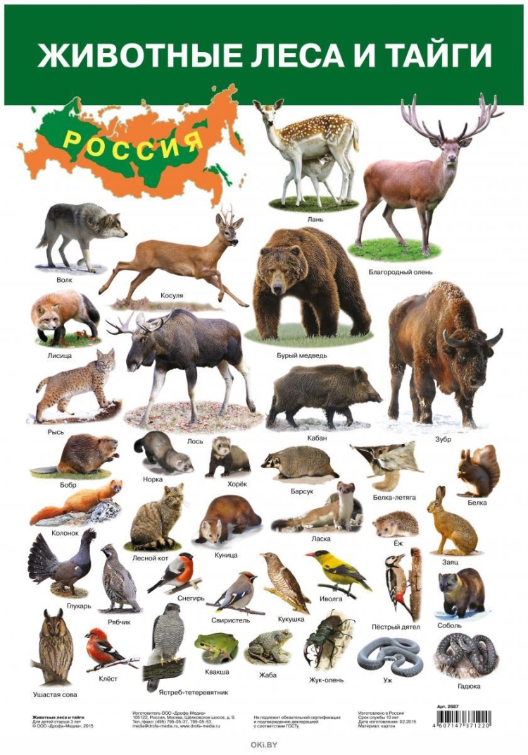 животные леса россии