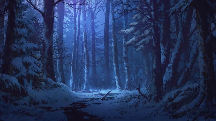 Темный густой лес ночью
