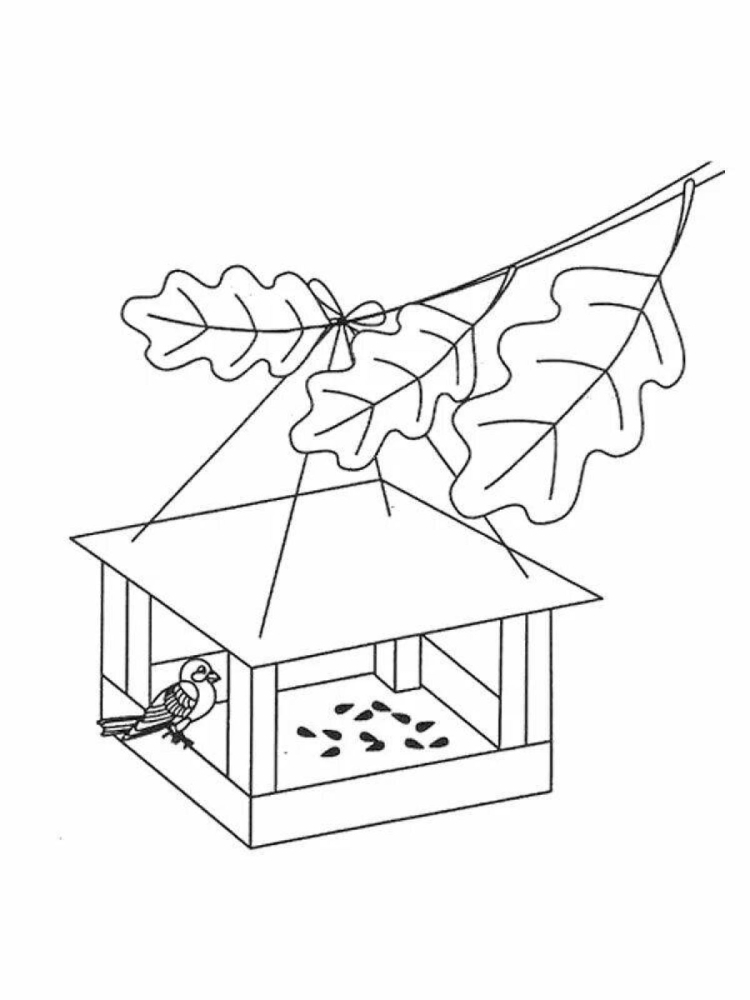 Идеи для срисовки птицы в кормушке легко (86 фото)
