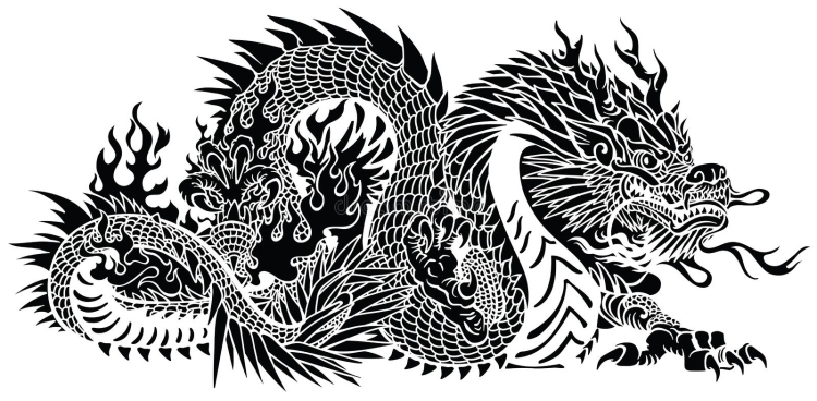 Китайский дракон черно белый рисунок