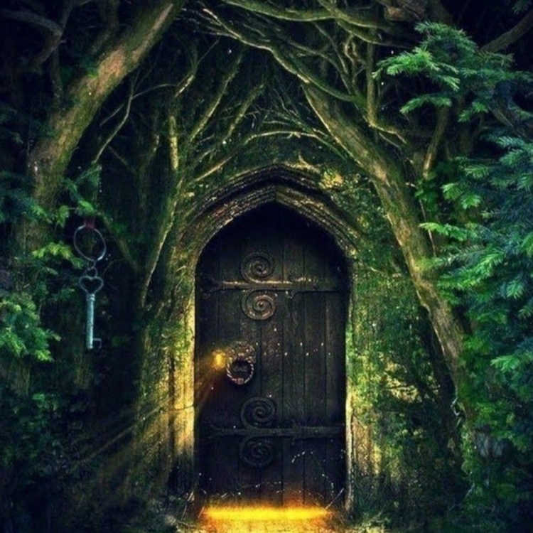 Волшебная дверь в лесу