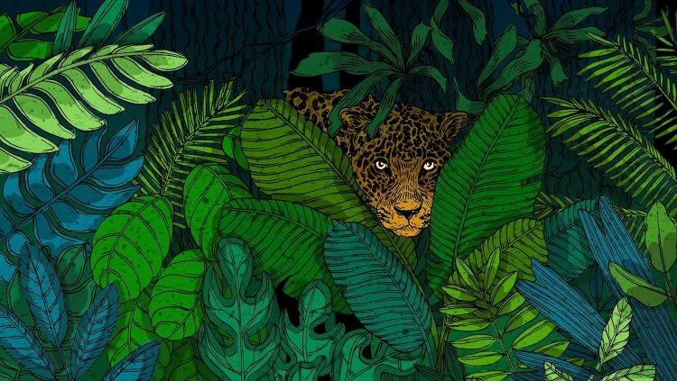Крупные хищники тропических лесов