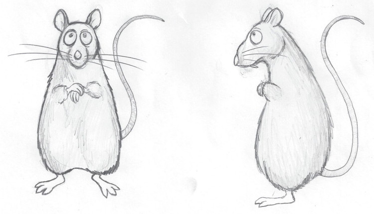 Рисунки крыс легкие для срисовки