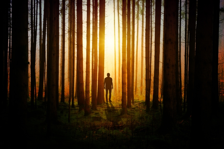 Темный силуэт человека в лесу