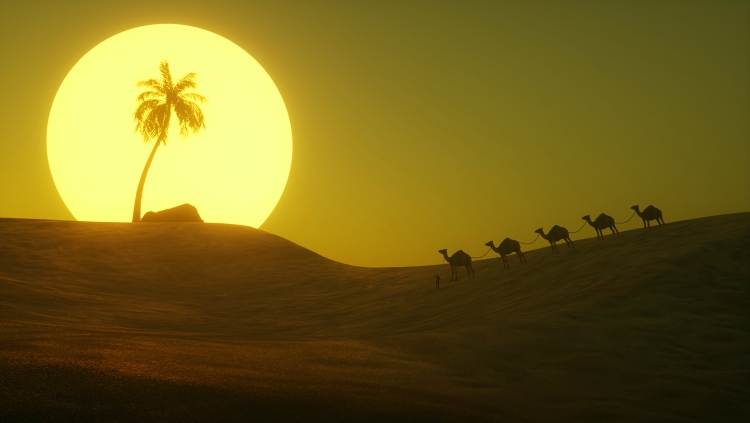 Солнце в пустыне рисунок