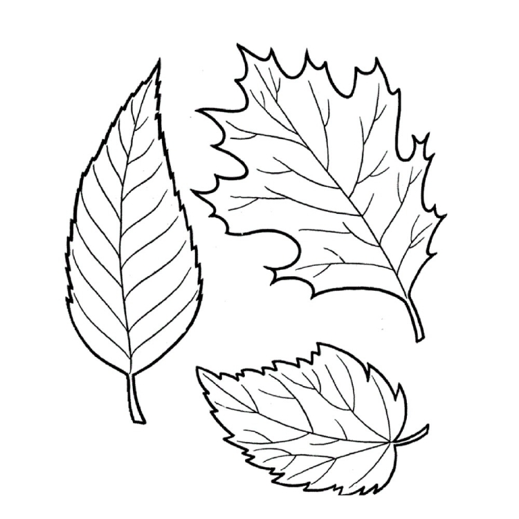 Шаблоны для осенних поделок из листьев