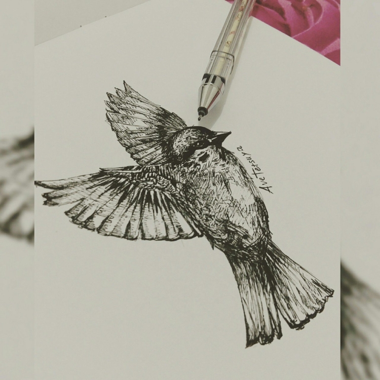 Рисунки птиц черной ручкой