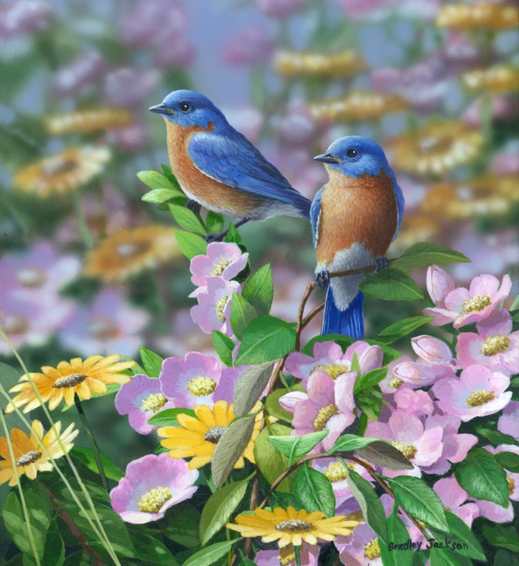 Рисунки птиц летом