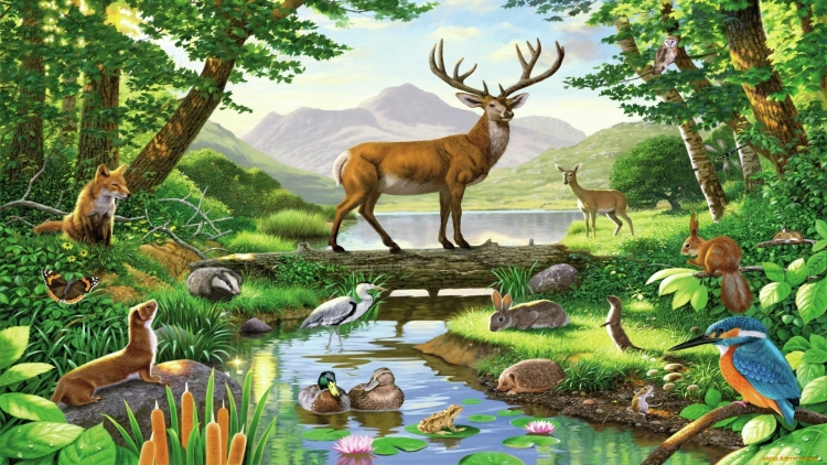 Птицы и животные в лесу рисунок