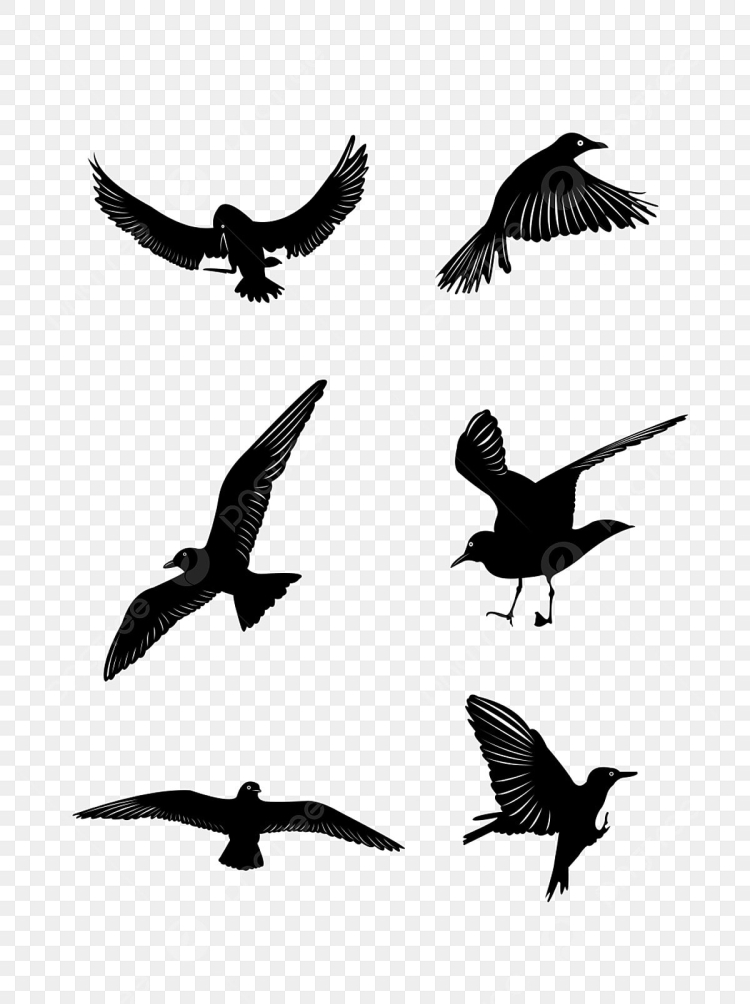 Птица летящая вверх рисунок