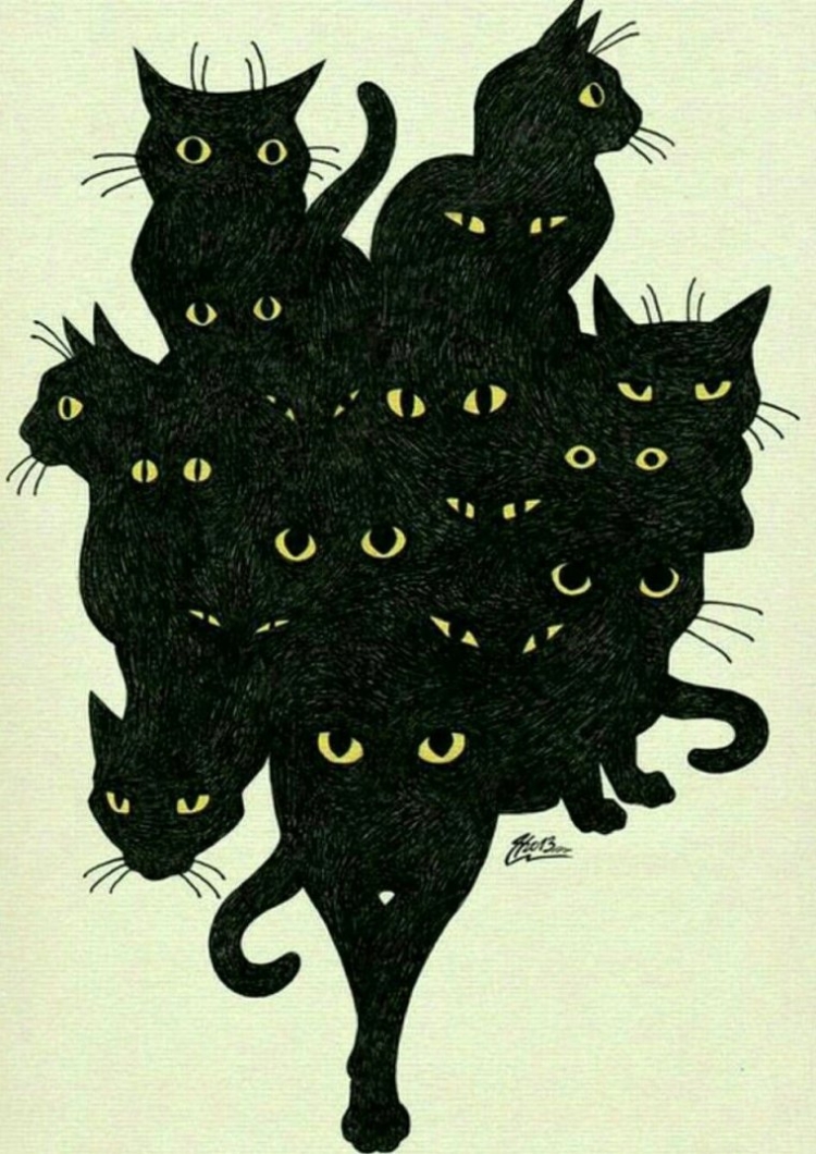 Черные коты прикольные рисунки