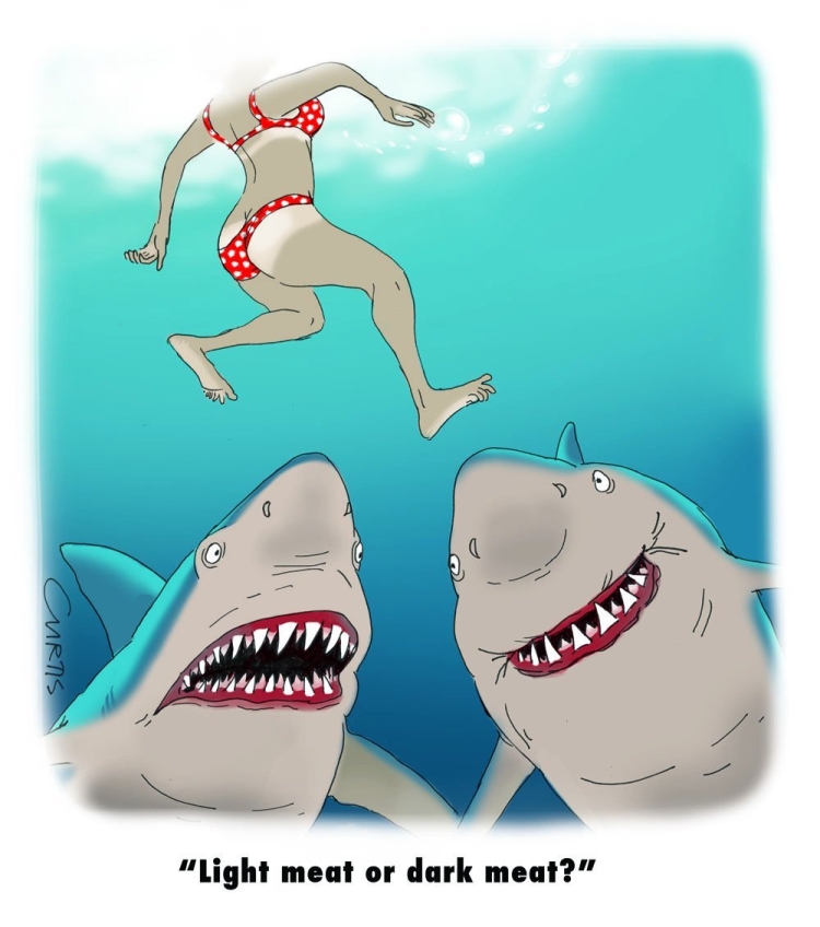 Прикольный рисунок акулы