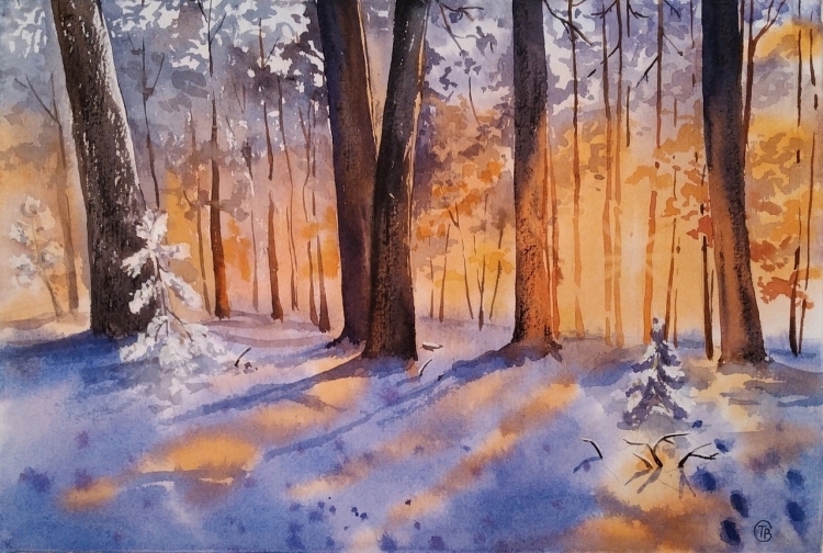 Елка в лесу со снегом