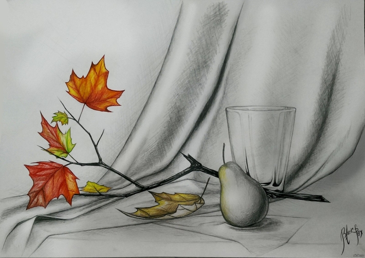 Осенний натюрморт рисунок карандашом поэтапно