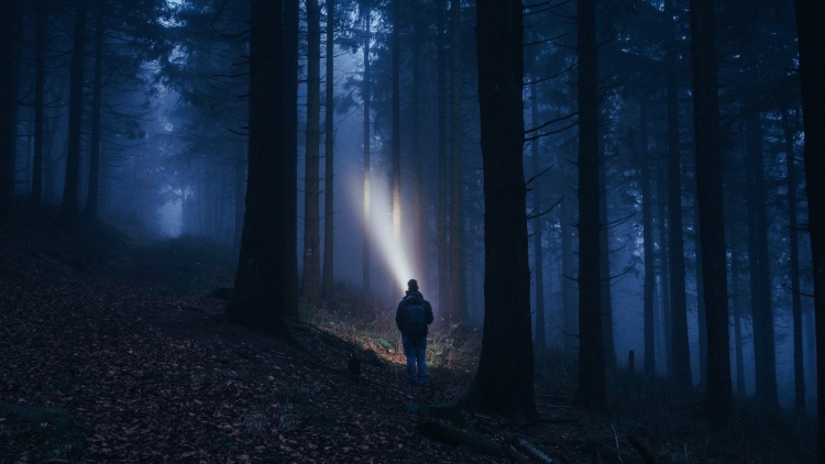 Человек с фонарем в темном лесу