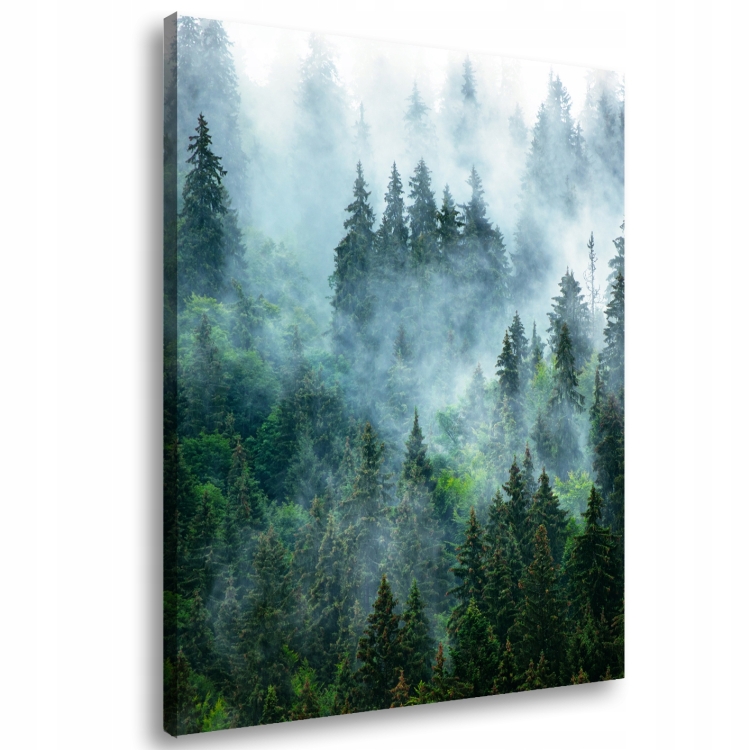 Густой туманный лес