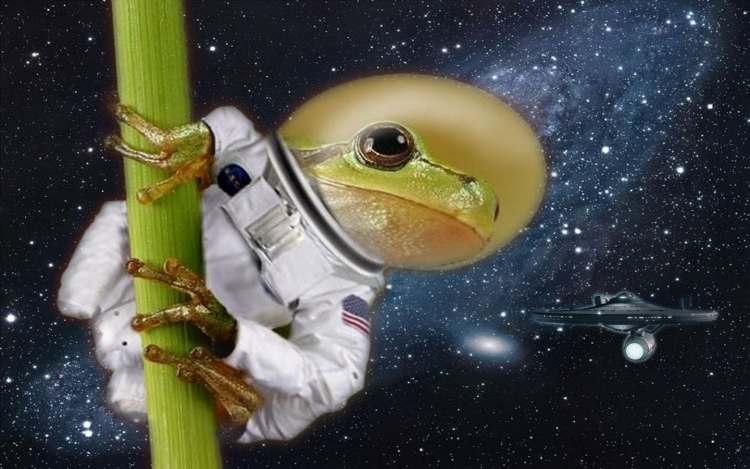 Лягушка в космосе рисунок