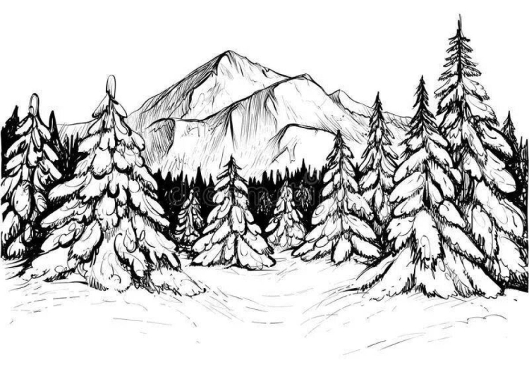 Черно белый зимний лес