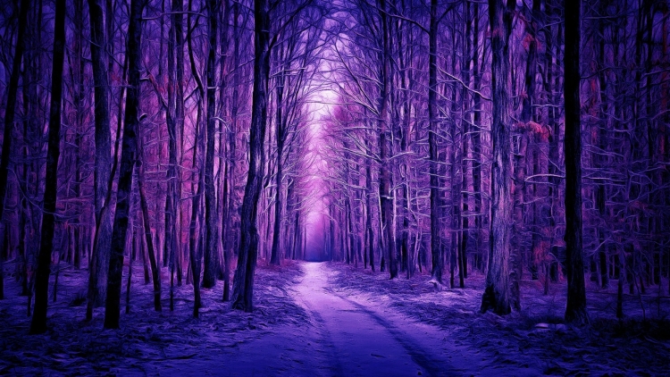 Фиолетовый лес эстетика