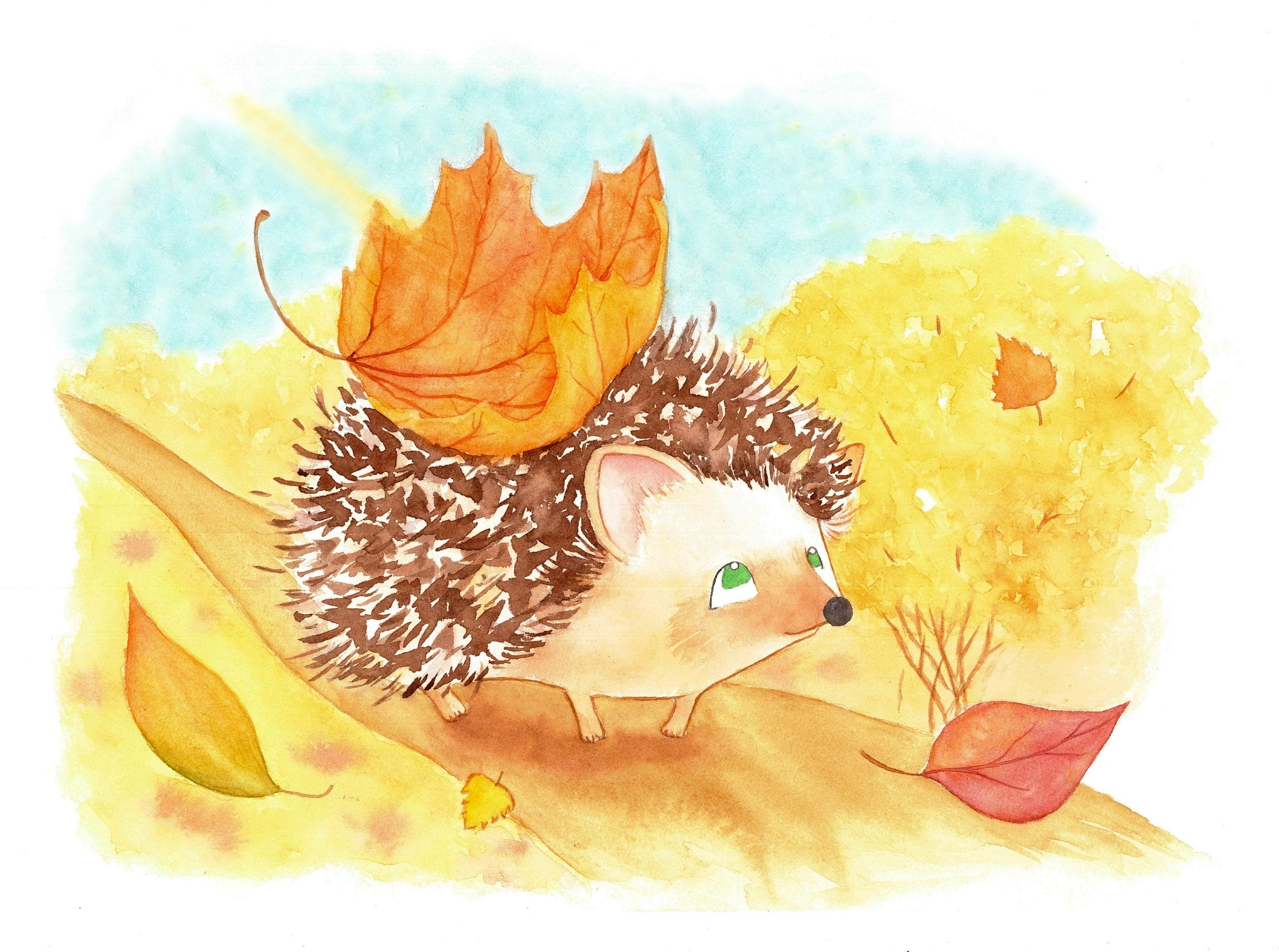 Осенние рисунки. Ежик с листьями. Осень иллюстрации. Ежик с листочками.