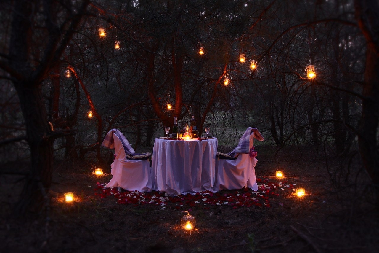 Ужин в лесу. Романтик в лесу. Романтический ужин в лесу. Романтическое свидание в лесу. Романтический вечер.