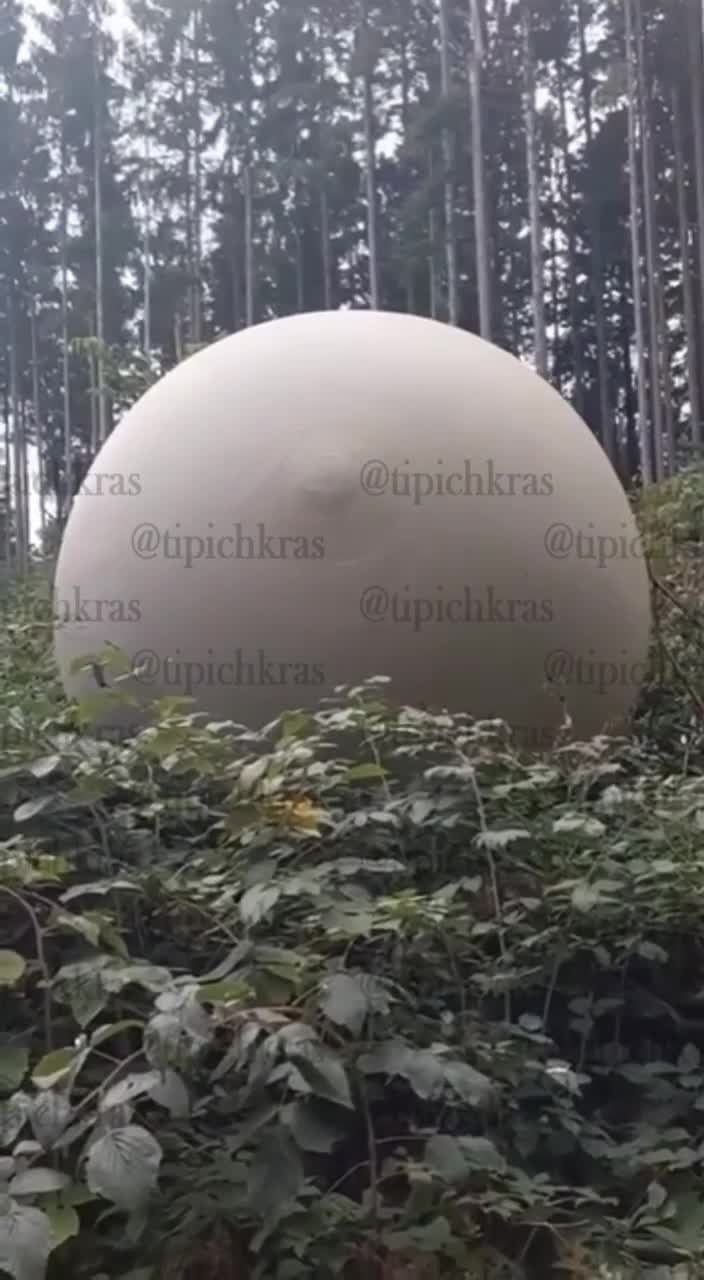 Большой металлический шар в лесу