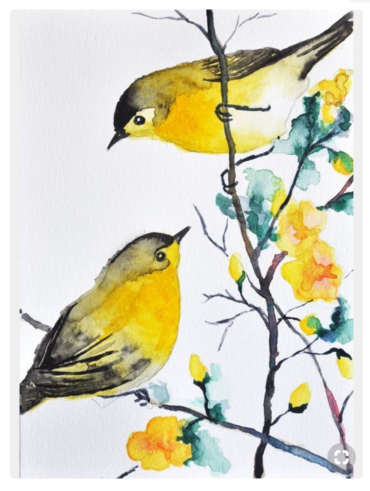 Весенние птицы рисунок. Птица рисунок. Рисование весенних птиц. Рисование птицы на ветке. Птицы акварелью.