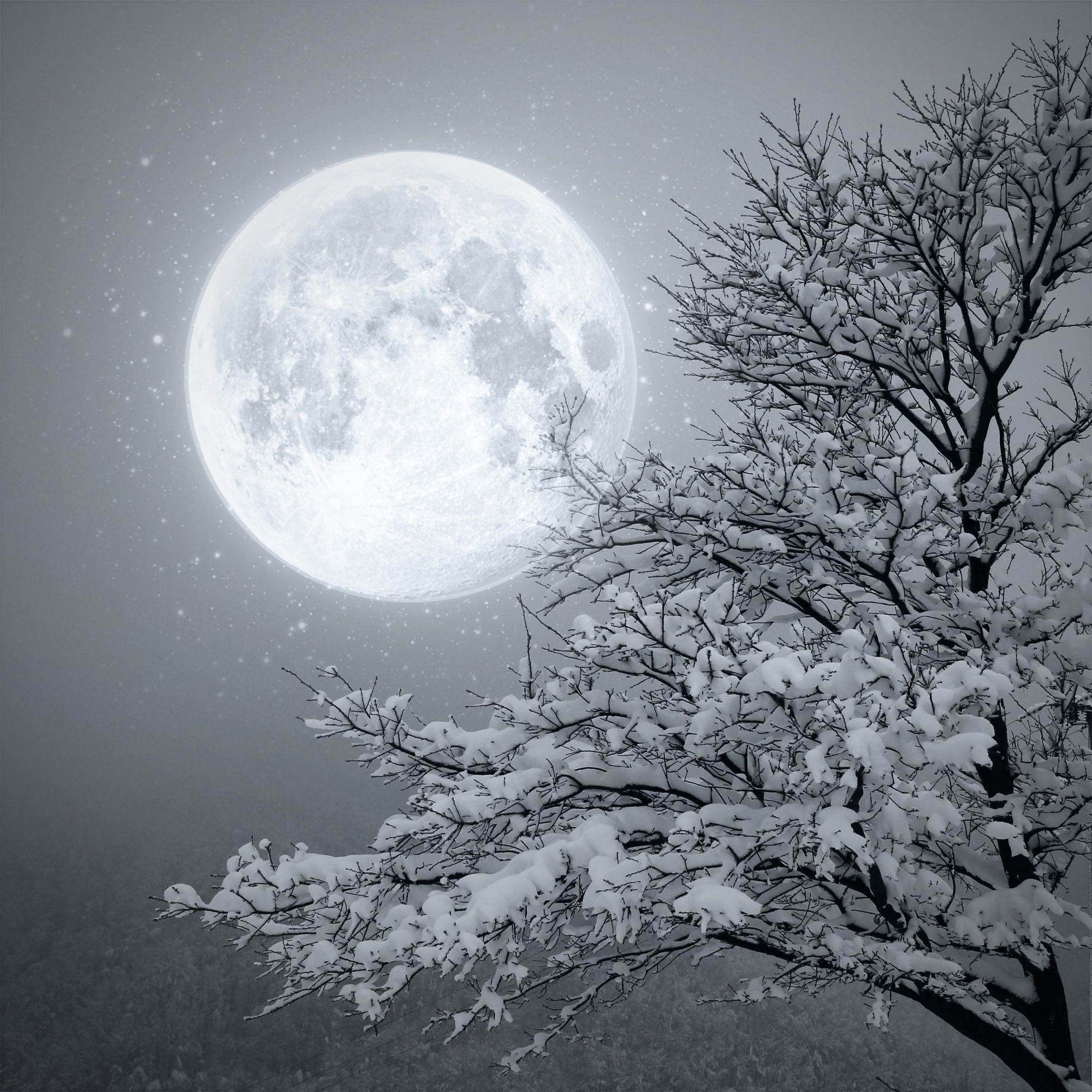Лунный свет днем. Луна снег. Лунная ночь. Лунный пейзаж. Зимняя Лунная ночь.