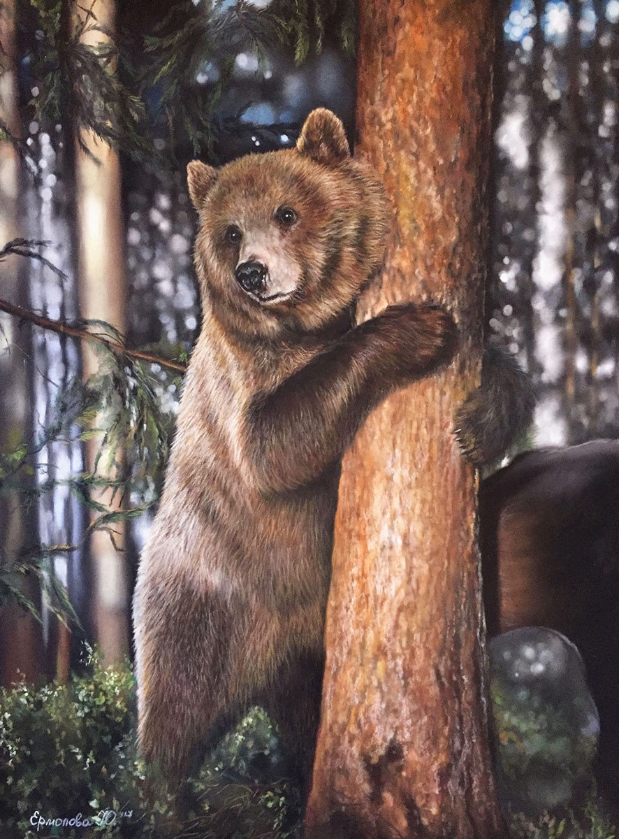 Раскраска медведица с медвежатами