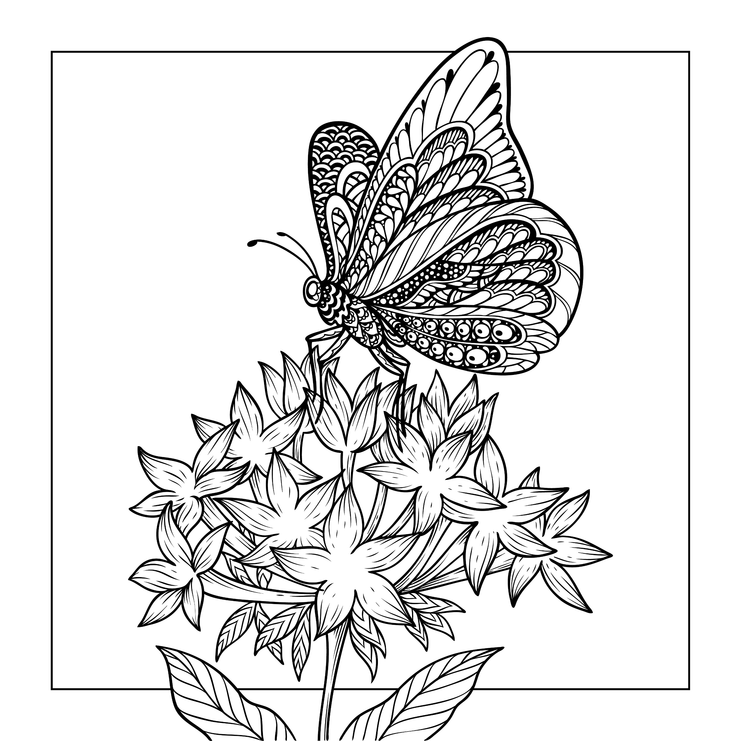 Раскраска пластилином объемная Красивая бабочка (Lori)