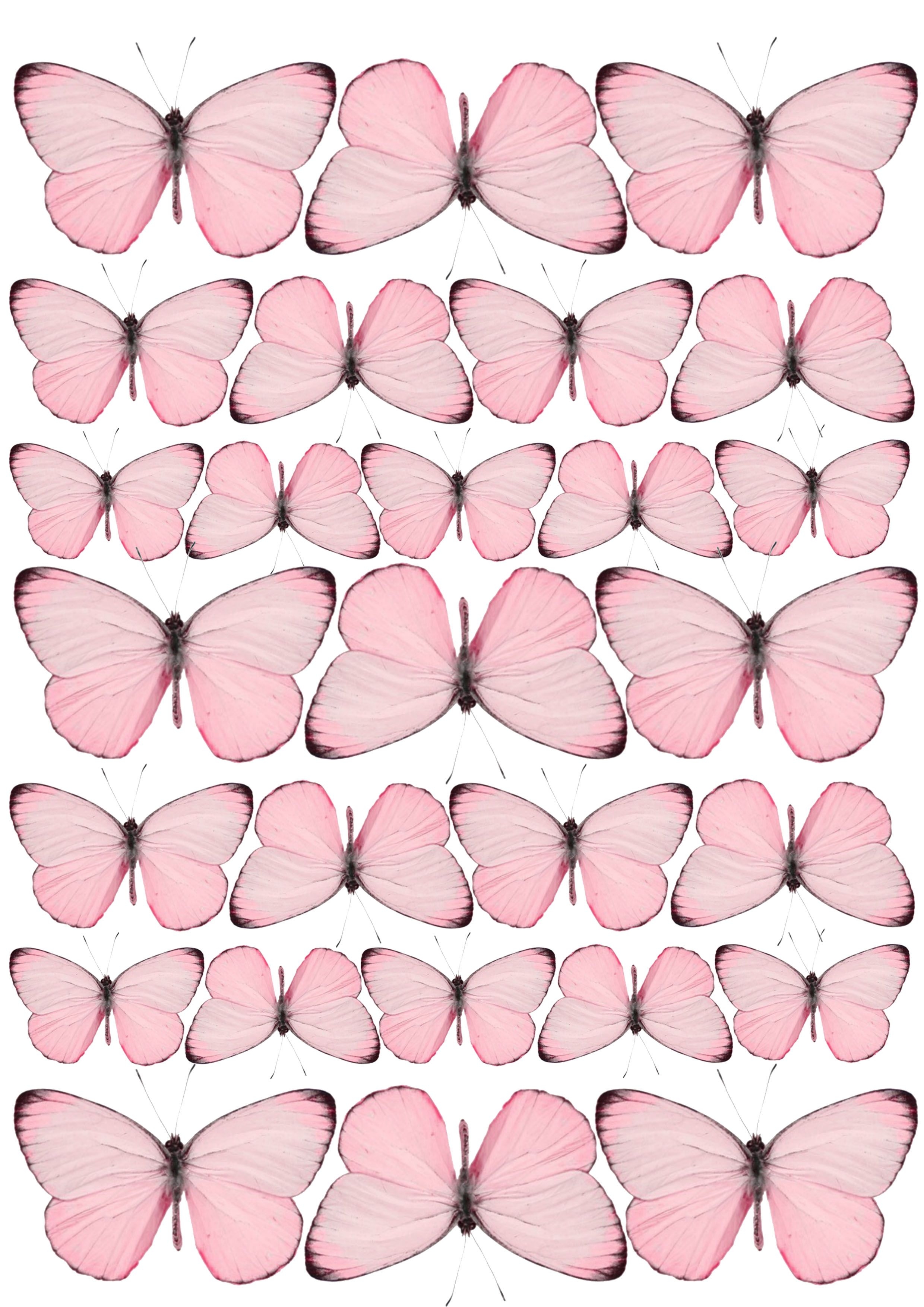 Розовые бабочки. Бабочки бело розовые. Бабочки бело розовые для печати. Розовые бабочки на белом фоне для печати. Бабочки для торта картинки для печати