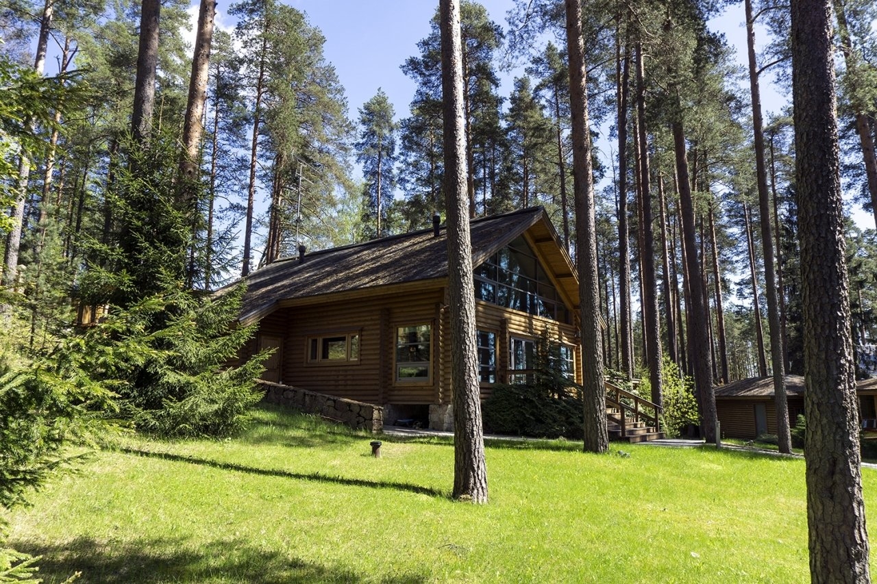 Сказочный синий дом в сосновом лесу зимой. фото высокого качества | Премиум Фото